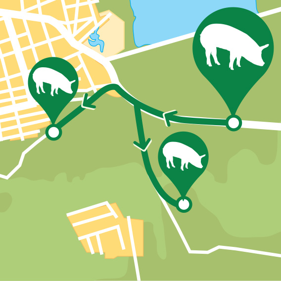 Movement of three pork silhouettes pinned on a premises map